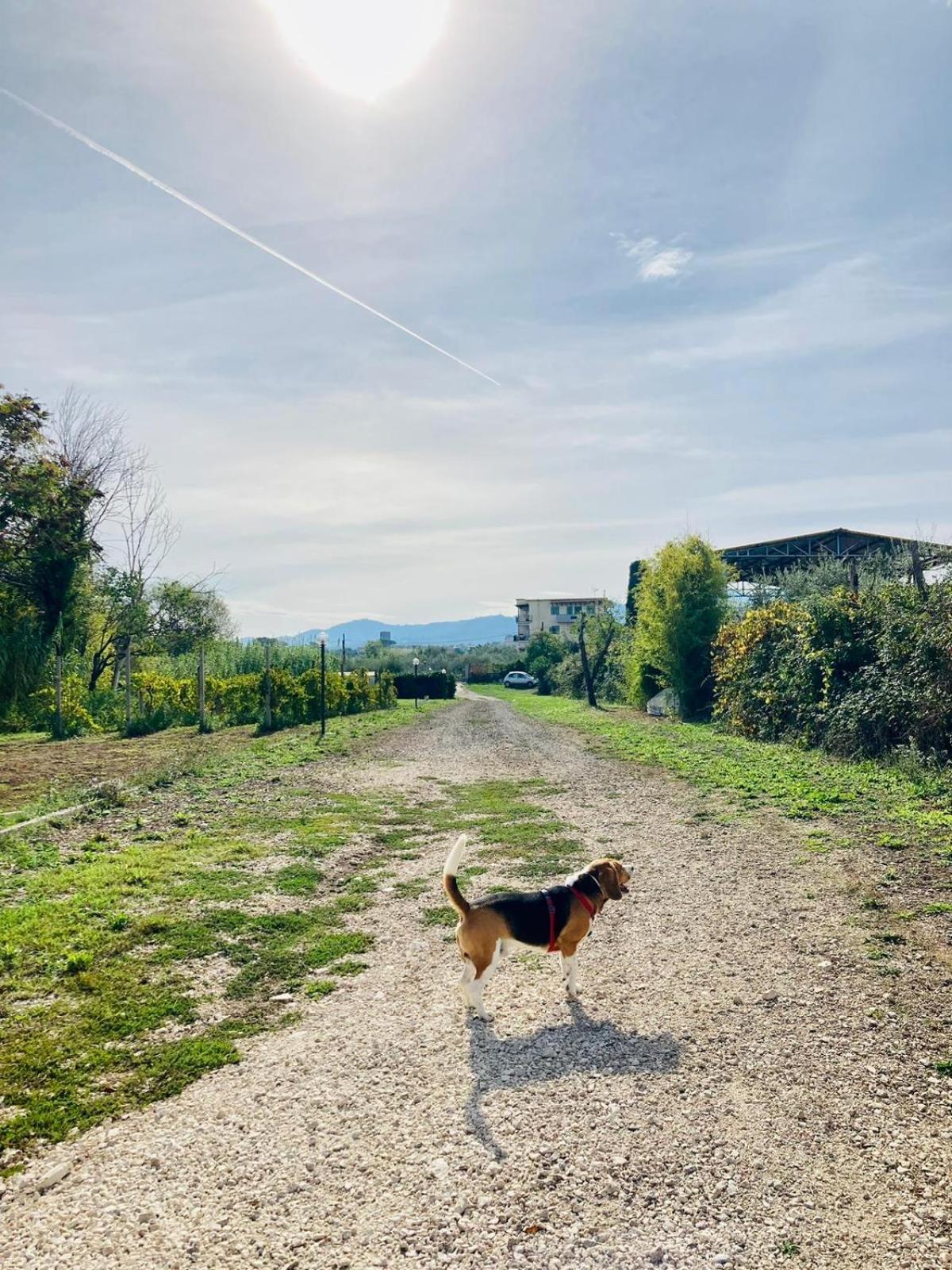 Villa Bubu, Appartamento Country-Chic Roma Exterior foto
