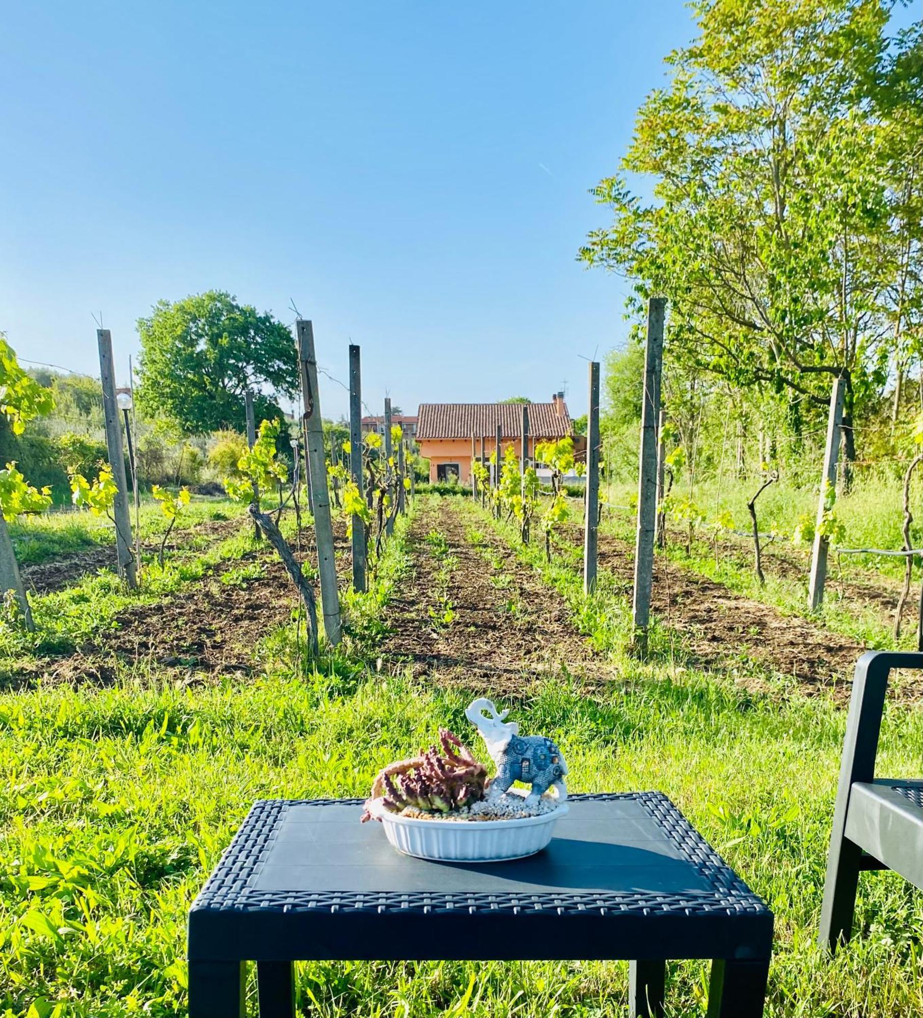 Villa Bubu, Appartamento Country-Chic Roma Exterior foto