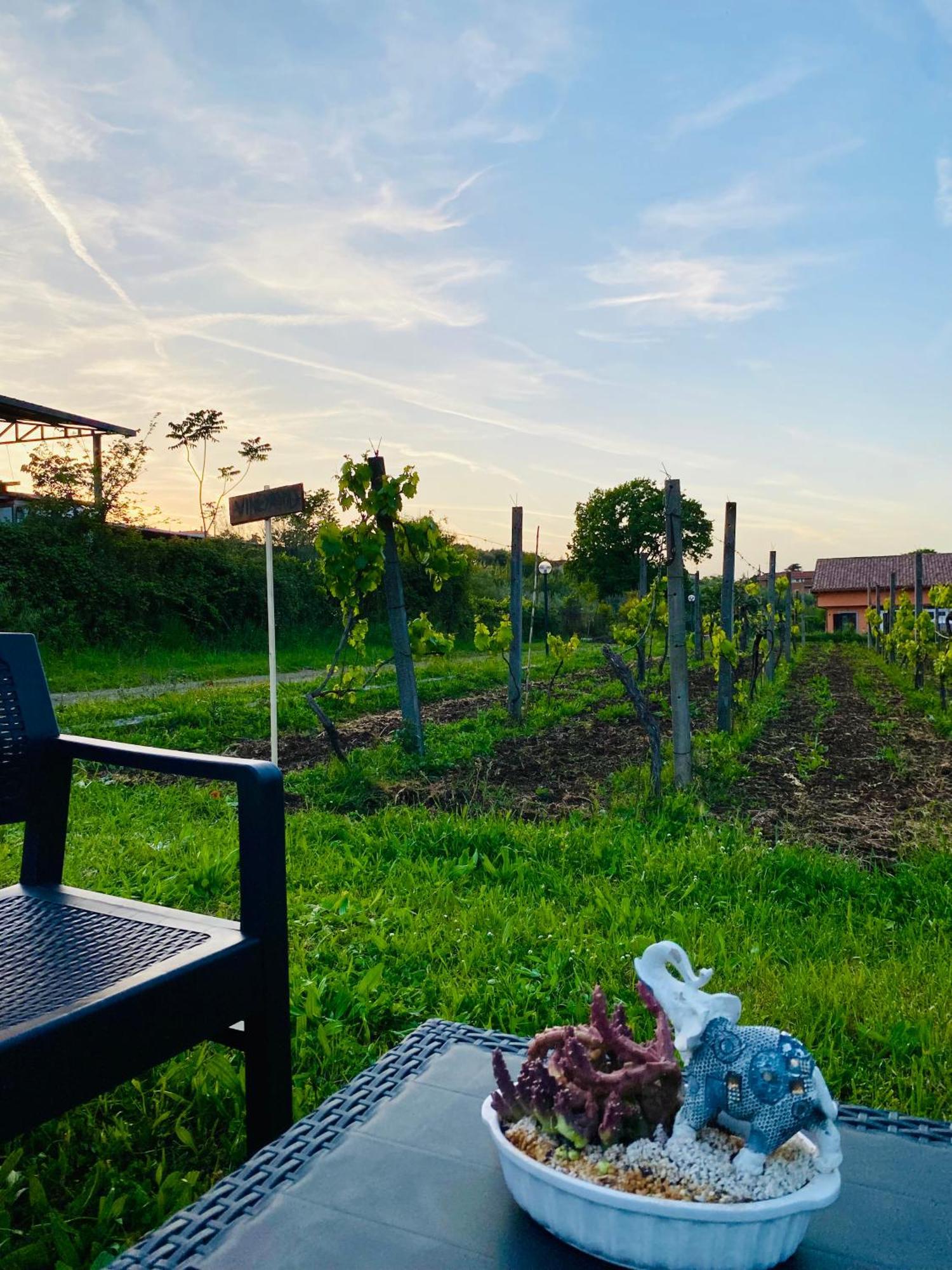 Villa Bubu, Appartamento Country-Chic Roma Exterior foto